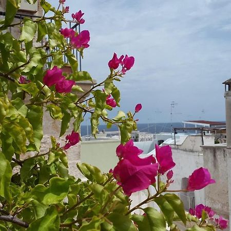 La Casetta Nel Vico Polignano a Mare Exterior photo