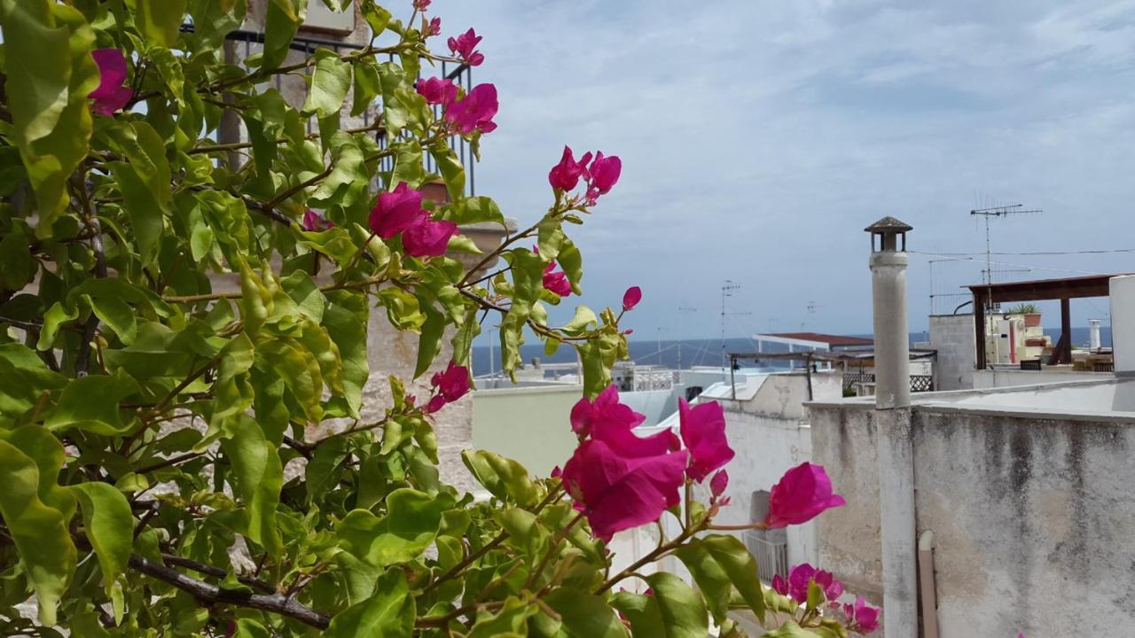 La Casetta Nel Vico Polignano a Mare Exterior photo